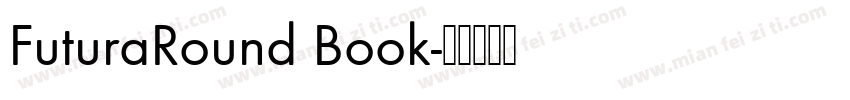 FuturaRound Book字体转换